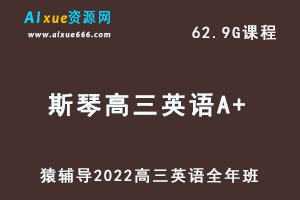高中英语网课教程猿辅导2022斯琴高三英语A+班高考复习视频教程+讲义全年班（暑假+秋季+寒假+春季）-乐学教程网