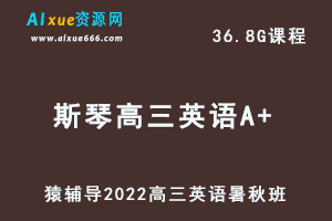 高中英语网课教程猿辅导2022斯琴高三英语A+班高考一轮视频教程+讲义（暑假班+秋季班）-乐学教程网