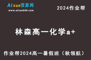 作业帮2024林森高一化学a+班暑假班课程-乐学教程网