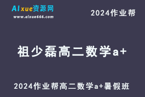 作业帮2024祖少磊高二数学a+暑假班视频教程+讲义-乐学教程网