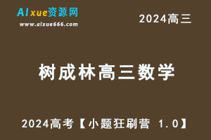 树成林2024高考数学【小题狂刷营 1.0】-乐学教程网