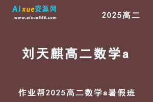 作业帮2025刘天麒高二数学a暑假班网课教程-乐学教程网